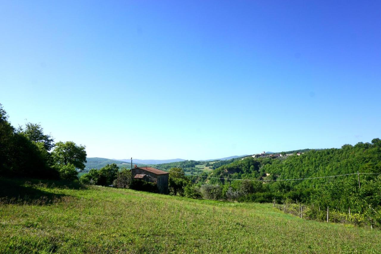 Casale Amerina Camerata  Esterno foto
